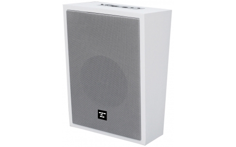 IP-89155&nbsp; &nbsp;IP网络终端音箱（5.25''）